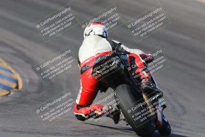 media/Nov-12-2023-SoCal Trackdays (Sun) [[5d1fba4e7d]]/Turn 10 Backside (115pm)/